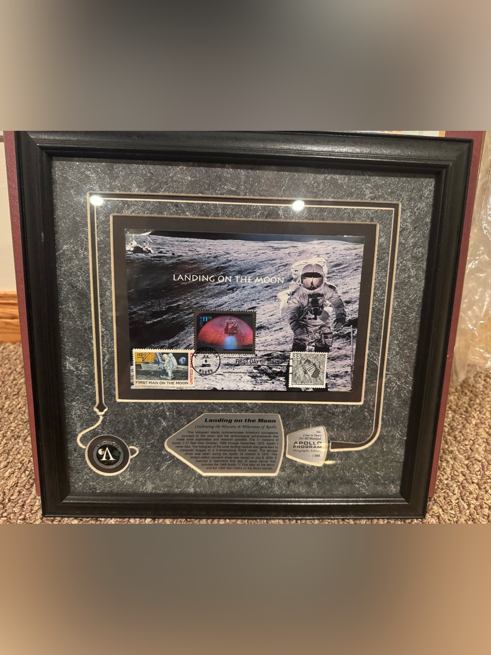 Landing on the Moon Framed Wall Art - Black and Gray